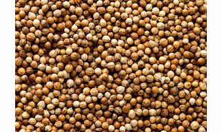 Coriander Seeds