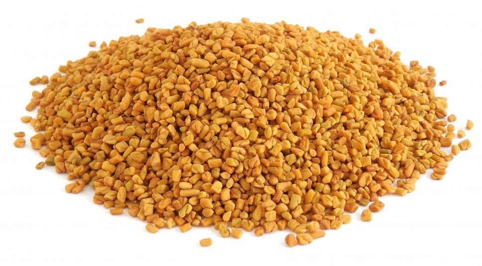 FenuGreek Seeds-VICTSP004