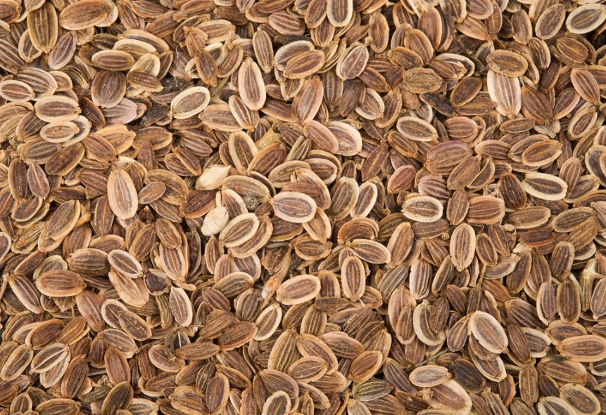 Dill Seeds-VICTSP003