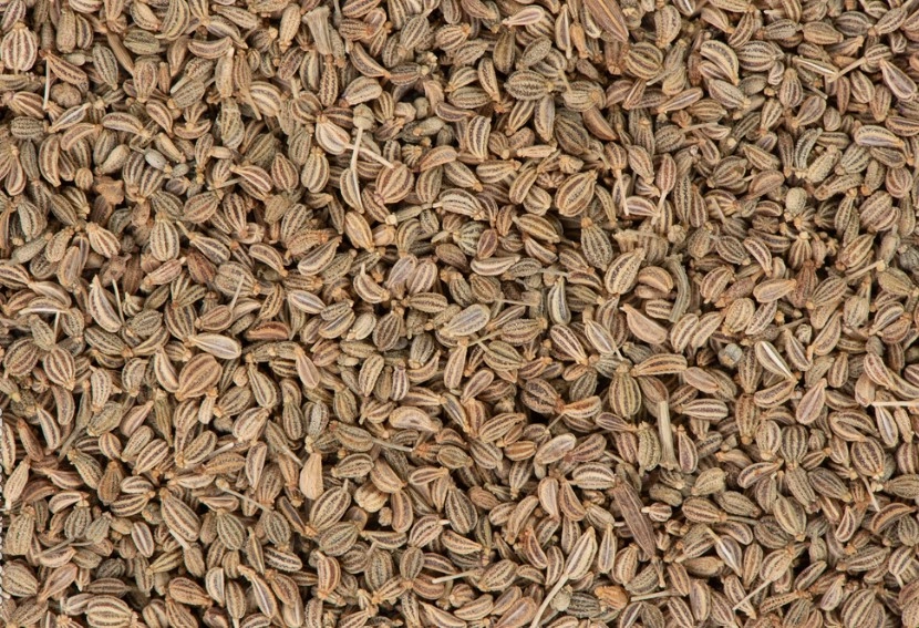 Ajwain Seeds-VICTSP006