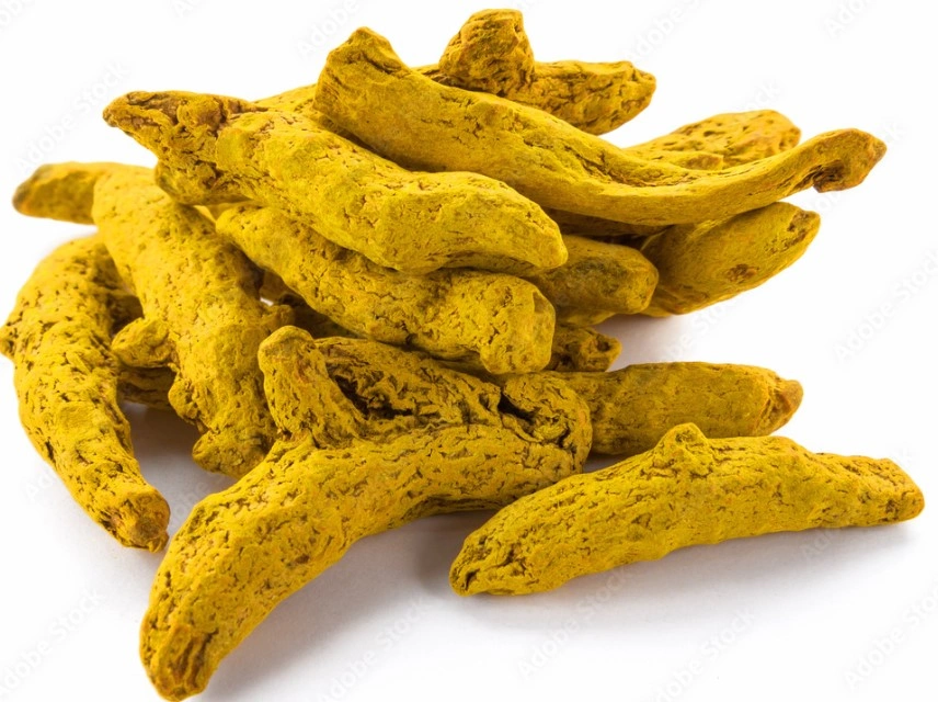 Turmeric Finger-Vic1104