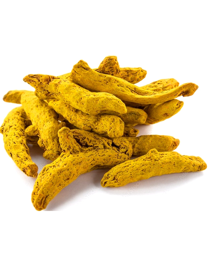 Turmeric Finger-Vic1104