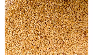 Natural Sesame Seeds