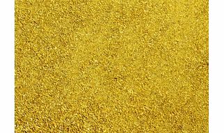Coriander Powder