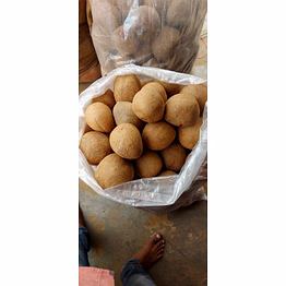 coconut copra ball