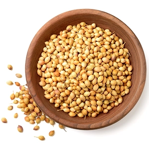 Coriander seed