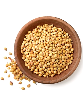 Coriander seed