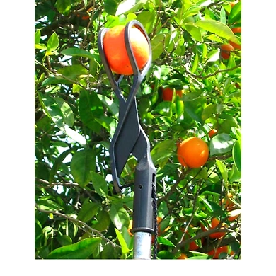 Fruit Vegetable Tools-11352140