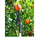 Fruit Vegetable Tools-11352140-sm