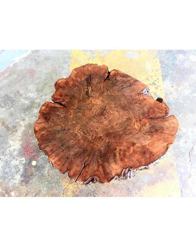 Unique Round Live Edge Crosscuts Epoxy Resin Coffee Table Living Room Table Console Table Study Table Hallway Table Central Table End/Side Table Top Only-18by18-3