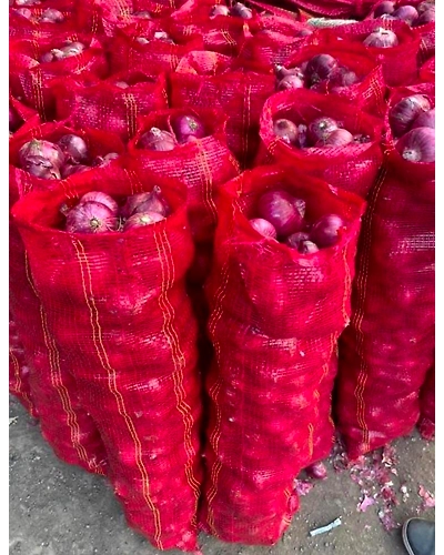 RED ONION-1