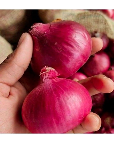 RED ONION-2