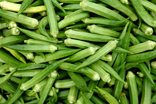 Ladyfinger(Okra)-1