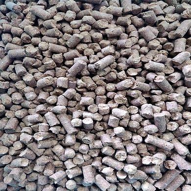 Dairy Gold Cattle Feed-1