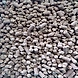 Dairy Gold Cattle Feed-1-sm