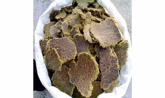 Cotton Seed Oil Cake