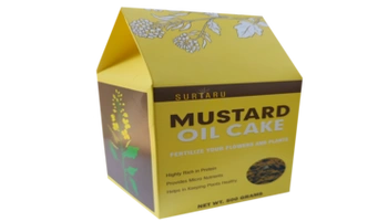 Mustard Oil Cake