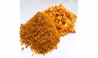 Maize/Corn DDGS