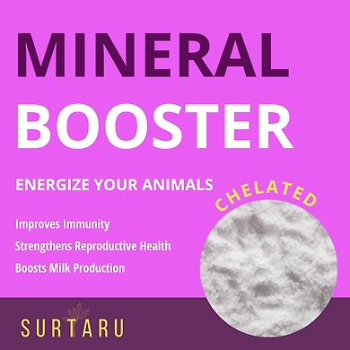 Surtaru Mineral Booster | Mineral Mixture | Cattle, Cow, Buffalo, Farm Animals-1
