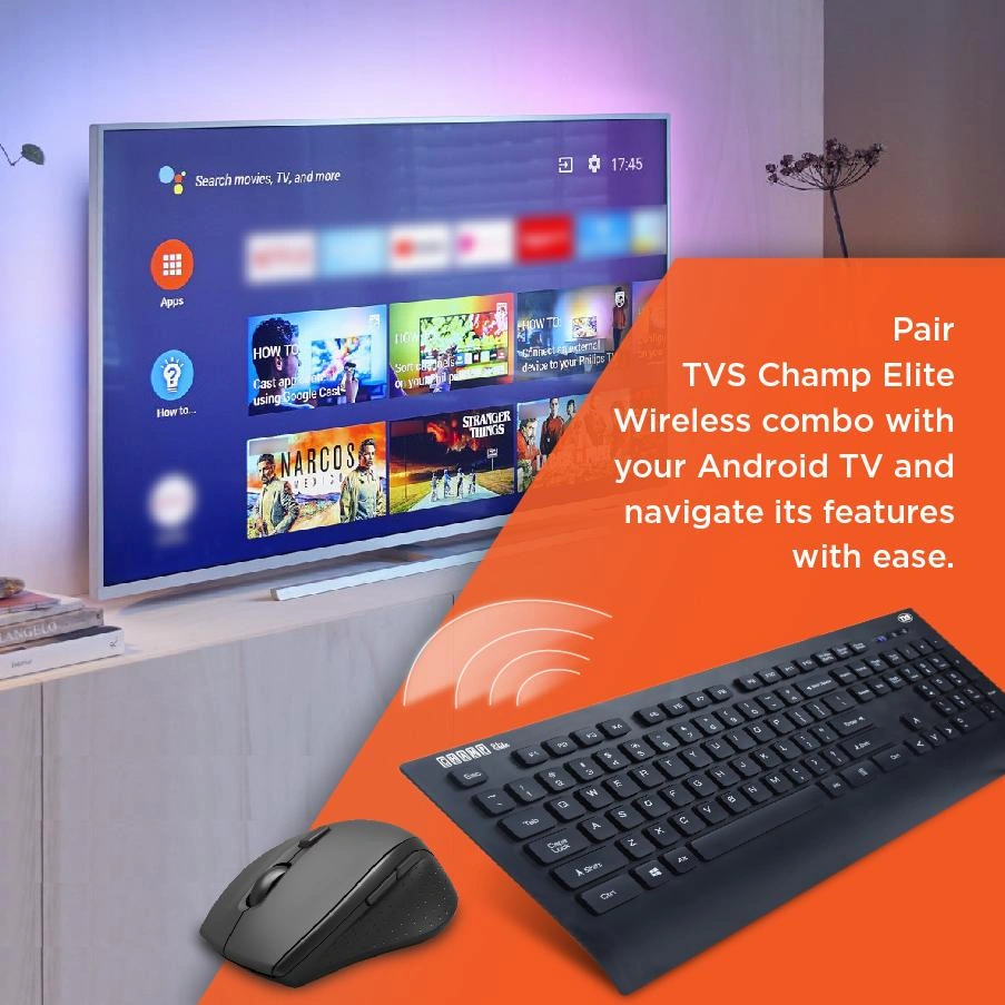 KB MOUSE TVS CHAMP ELITE WIRELESS COMBO / RIDDHI SIDDHI CPMUTERS