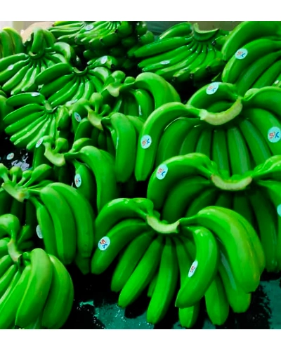 Banana-11376406