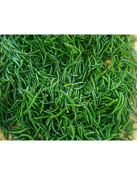 Green Chilli