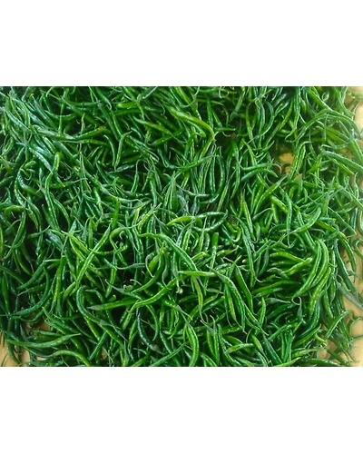 Green Chilli-11376408
