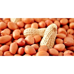 All Kinds Of Peanuts
