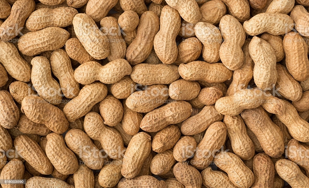 All Kinds Of Peanuts-Bold-2