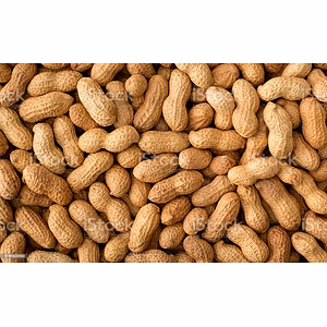 All Kinds Of Peanuts