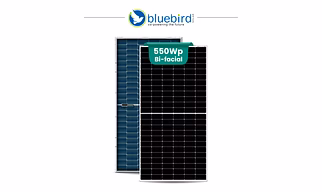 Bluebird 550W Bi-Facial Mono PERC Solar PV Module