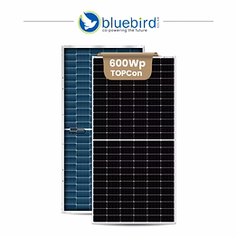 bluebird 600wp n-type topcon pv modules (dual glass)