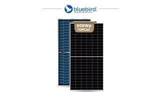 Bluebird 600Wp N-Type TOPCon PV Modules (Dual Glass)