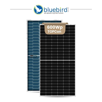 Bluebird 600Wp N-Type TOPCon PV Modules (Dual Glass)-12684819