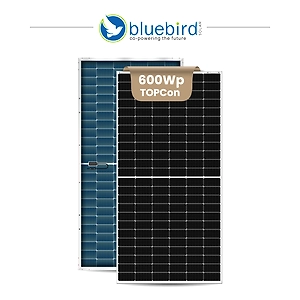 Bluebird 600Wp N-Type TOPCon PV Modules (Dual Glass)