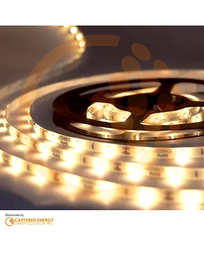 X-Luminaire LED Striplight 8W/Meter 3000K Warmwhite IP20 5 Meters/Roll-XLUM-7WSTL001