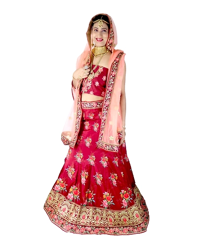 Partywear ethnic dress-11395796