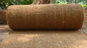 Coir Geotextile Mats-11685432