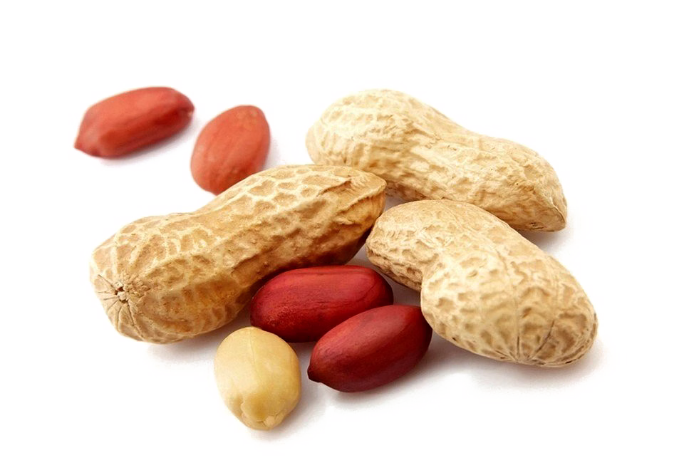 Peanuts image 2