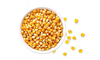 Maize (Corn)