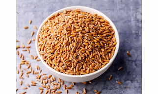 Wheat