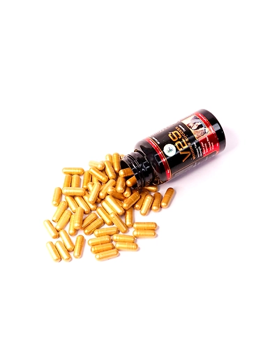 V2S Capsule-2