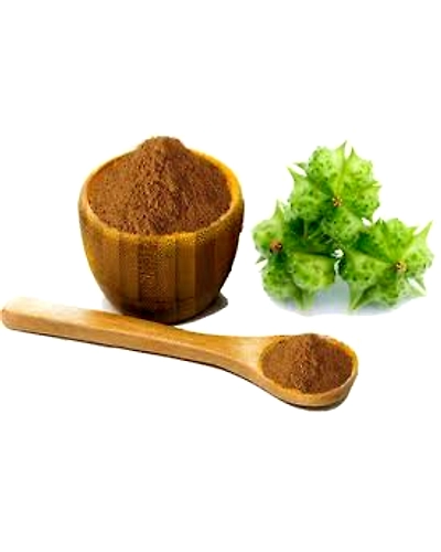 Organic Gokhru Powder-11415700