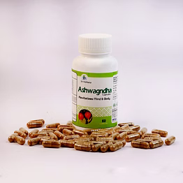 ashwagandha capsule (brain health)