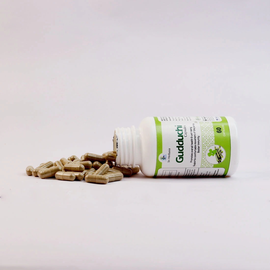 Guduchi Capsule (Immunity wellness)-3