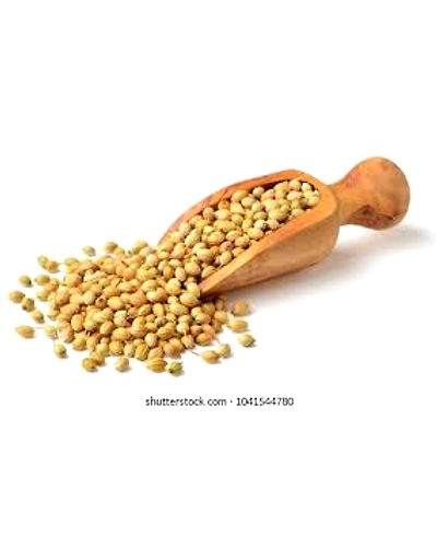 Coriander Seeds-11409020