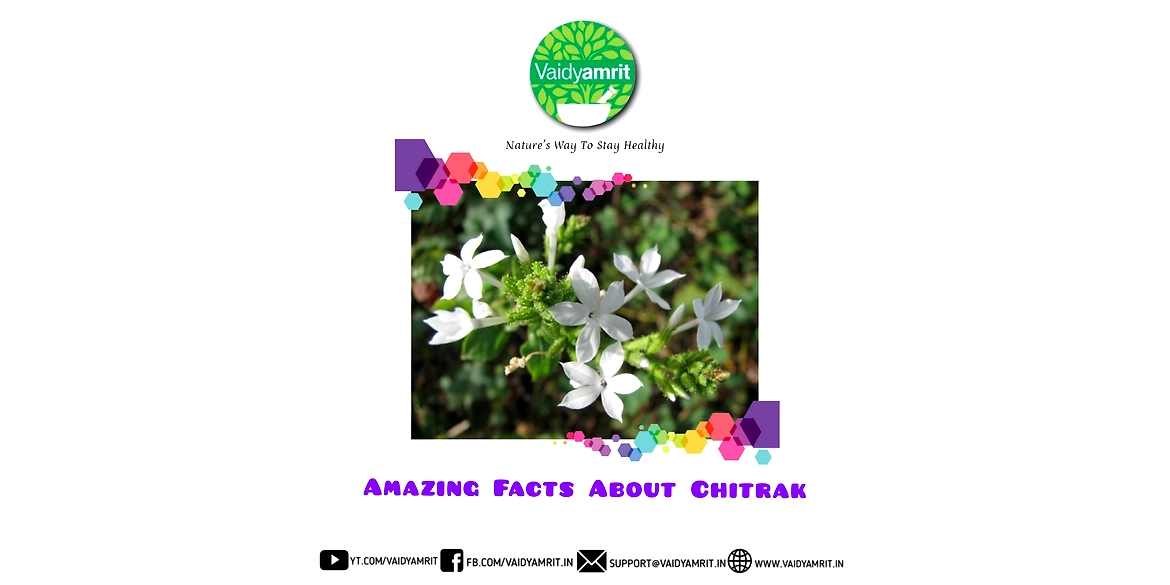 Amazing Facts About Chitrak | Ayurveda |