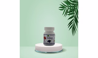 Actibrain Capsule