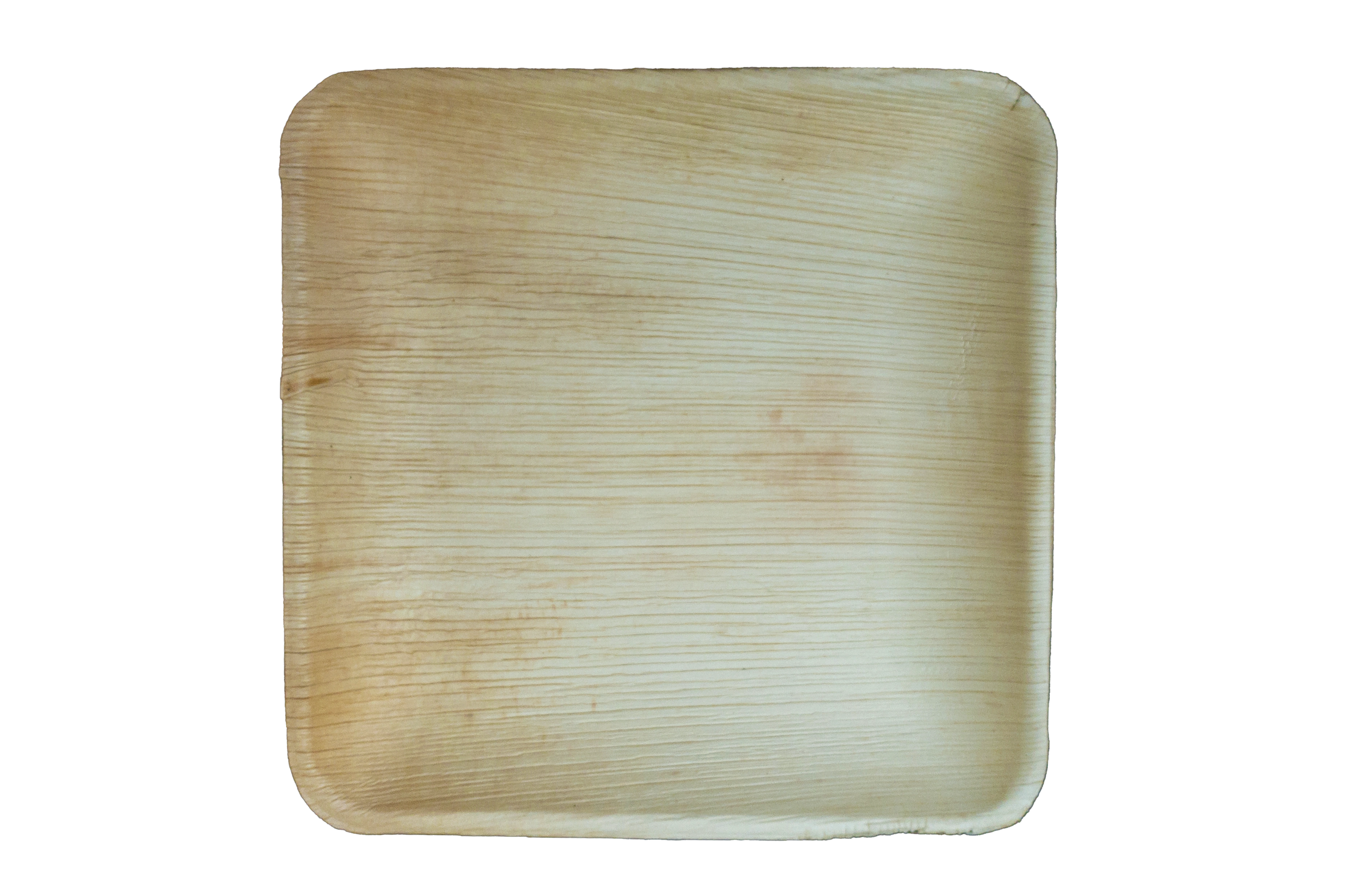 10 inch Square Plate - Areca Palm Leaf Plates-2