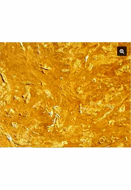 Flowery Gold Sandstone